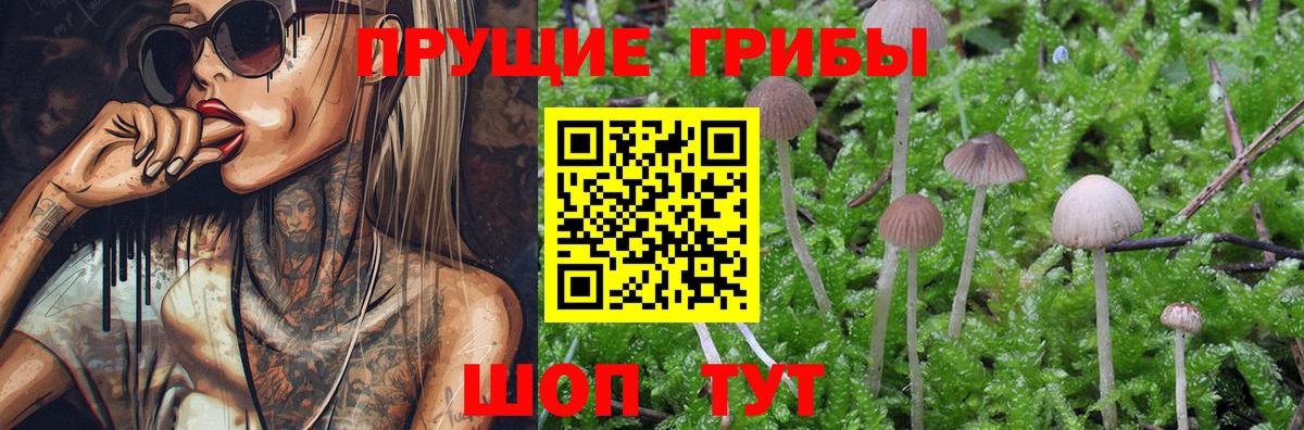 Галлюциногенные грибы Cubensis  Вход с VPN  Псилоцибиновые грибы Psilocybine cubensis  Орехово-Зуево 